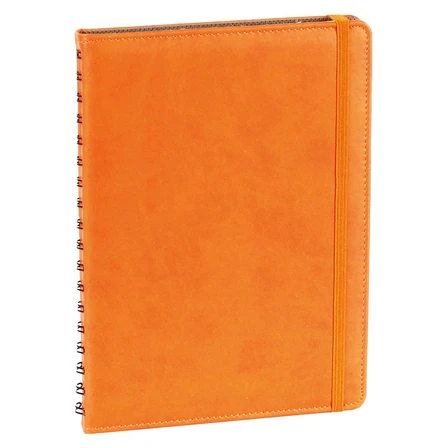 Gizli Spiralli 2026 Ajanda