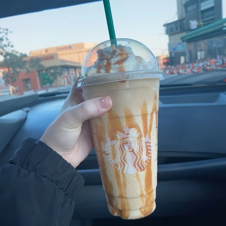 550 cc 18 Oz Pet Bardak