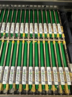 Plastik Kalem 054495 Örnek Çalışmaları